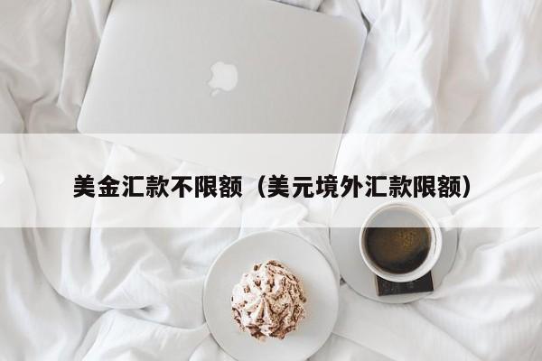 美金汇款不限额（美元境外汇款限额）
