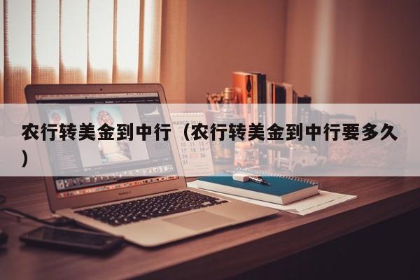 农行转美金到中行（农行转美金到中行要多久）