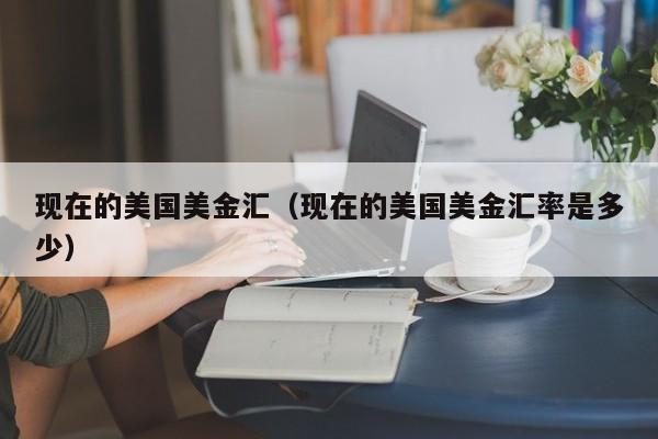 现在的美国美金汇（现在的美国美金汇率是多少）