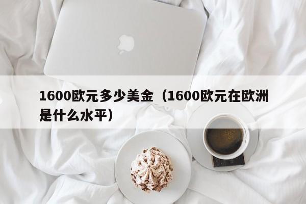 1600欧元多少美金（1600欧元在欧洲是什么水平）