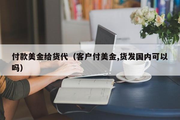 付款美金给货代（客户付美金,货发国内可以吗）
