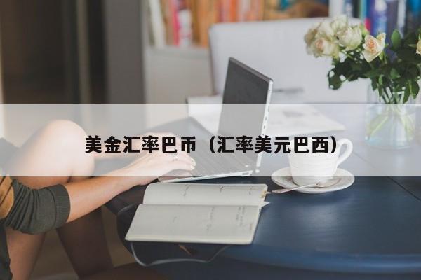 美金汇率巴币（汇率美元巴西）