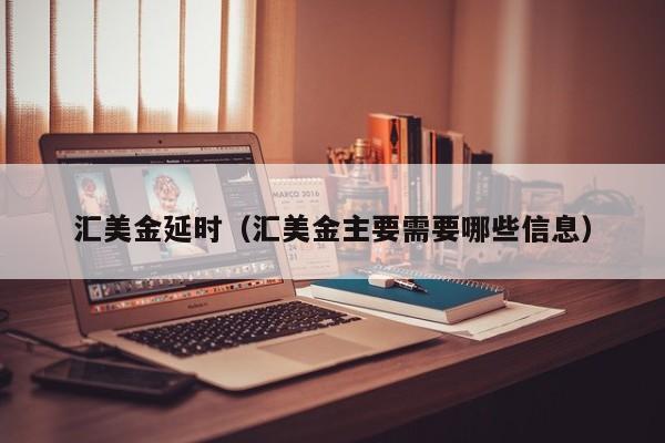汇美金延时（汇美金主要需要哪些信息）