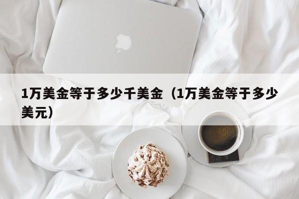 1万美金等于多少千美金（1万美金等于多少美元）