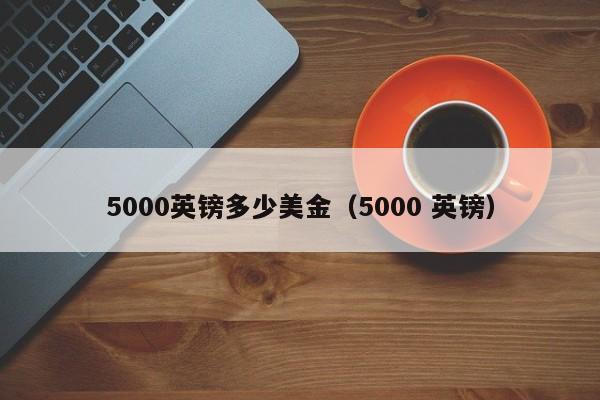 5000英镑多少美金（5000 英镑）