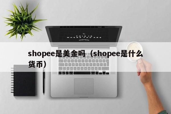 shopee是美金吗（shopee是什么货币）