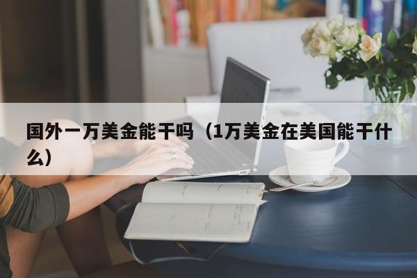 国外一万美金能干吗（1万美金在美国能干什么）