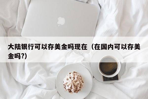大陆银行可以存美金吗现在（在国内可以存美金吗?）