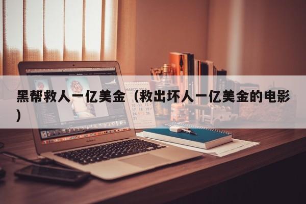 黑帮救人一亿美金（救出坏人一亿美金的电影）