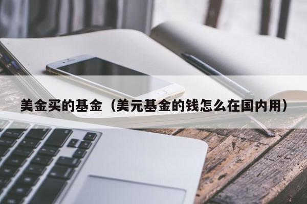 美金买的基金（美元基金的钱怎么在国内用）