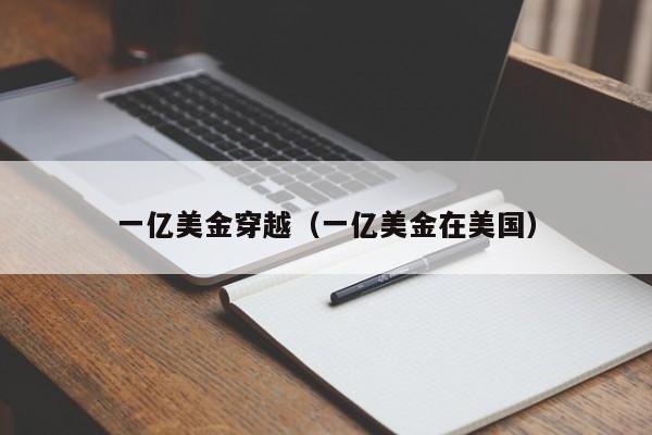 一亿美金穿越（一亿美金在美国）