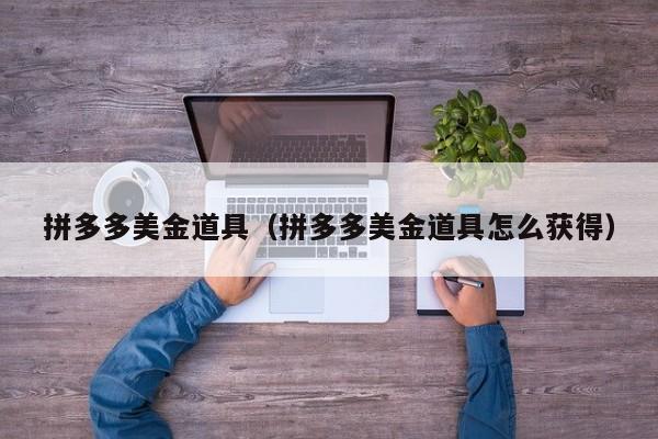拼多多美金道具（拼多多美金道具怎么获得）