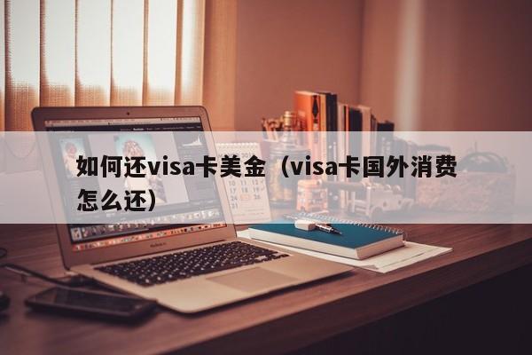 如何还visa卡美金（visa卡国外消费怎么还）