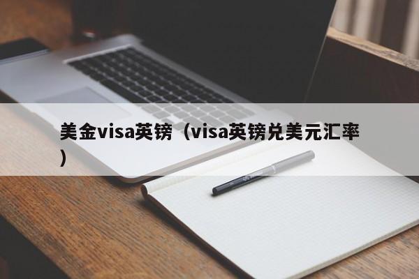美金visa英镑（visa英镑兑美元汇率）
