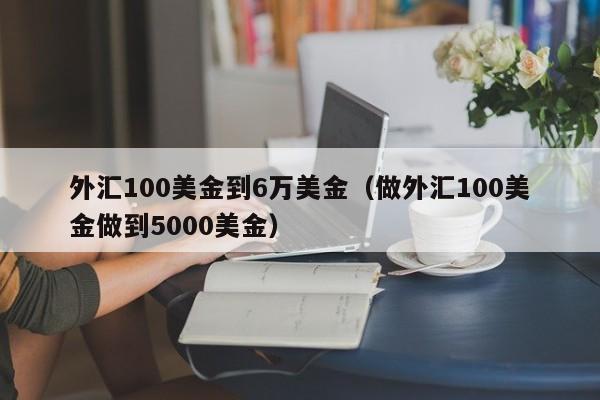 外汇100美金到6万美金（做外汇100美金做到5000美金）