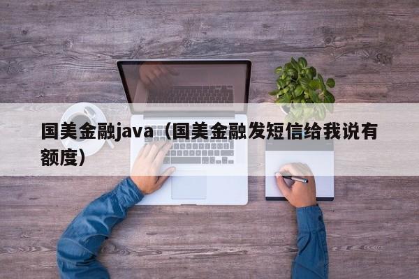 国美金融java（国美金融发短信给我说有额度）
