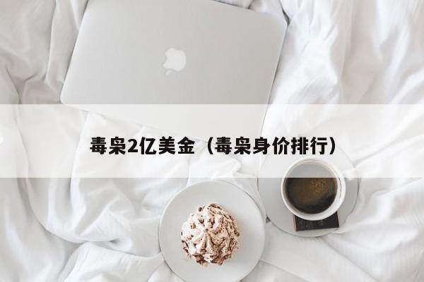 毒枭2亿美金（毒枭身价排行）
