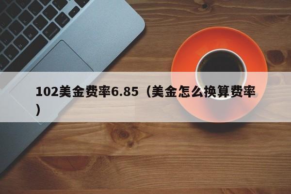 102美金费率6.85（美金怎么换算费率）