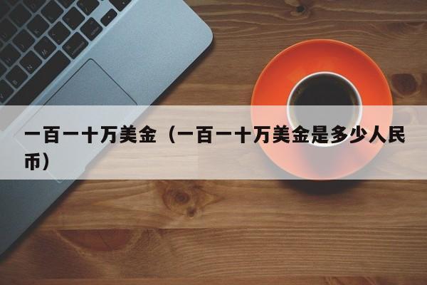 一百一十万美金（一百一十万美金是多少人民币）