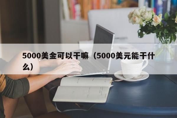 5000美金可以干嘛（5000美元能干什么）