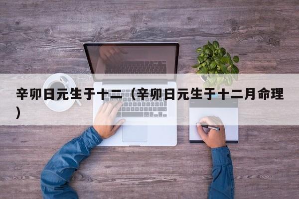 辛卯日元生于十二（辛卯日元生于十二月命理）