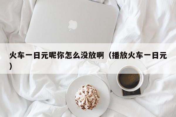 火车一日元呢你怎么没放啊（播放火车一日元）