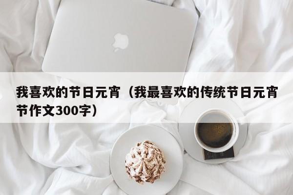 我喜欢的节日元宵（我最喜欢的传统节日元宵节作文300字）