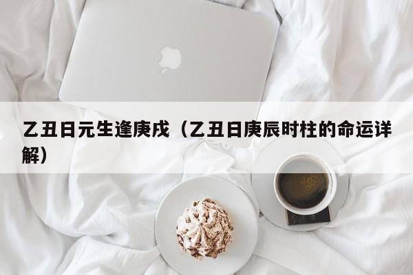 乙丑日元生逢庚戌（乙丑日庚辰时柱的命运详解）