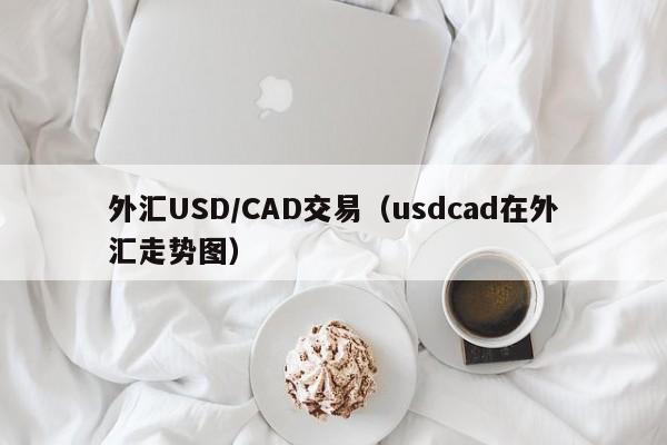 外汇USD/CAD交易（usdcad在外汇走势图）