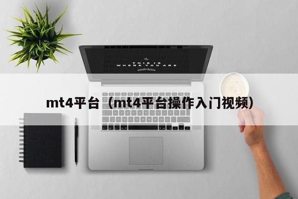 mt4平台（mt4平台操作入门视频）