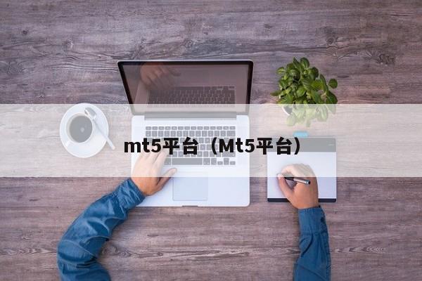 mt5平台（Mt5平台）