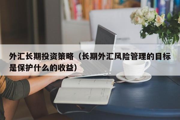 外汇长期投资策略（长期外汇风险管理的目标是保护什么的收益）