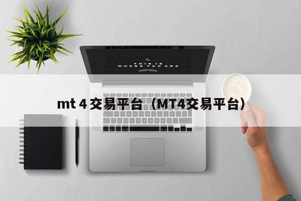 mt４交易平台（MT4交易平台）