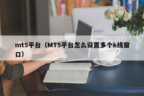 mt5平台（MT5平台怎么设置多个k线窗口）
