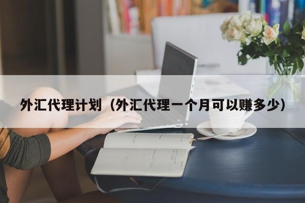 外汇代理计划（外汇代理一个月可以赚多少）
