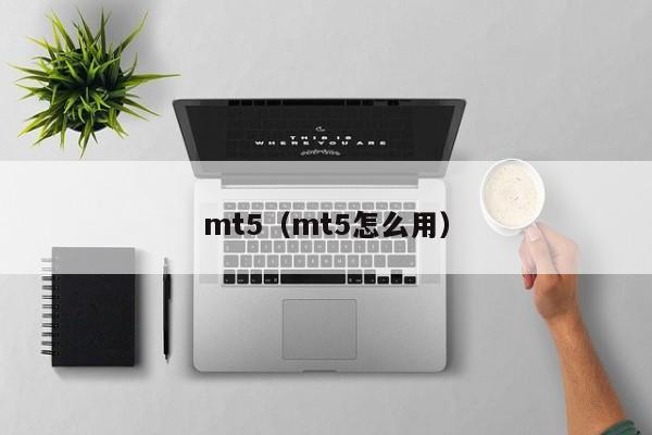 mt5（mt5怎么用）