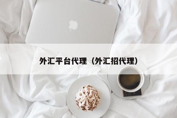 外汇平台代理（外汇招代理）