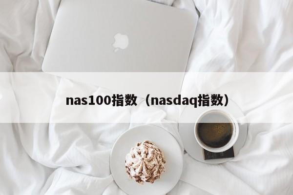 nas100指数（nasdaq指数）